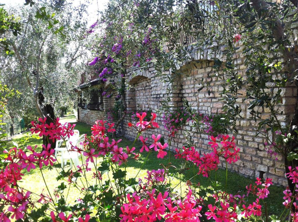 Margherita Hotel